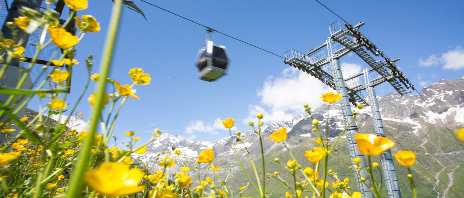 Urlaub in Pfelders Urlaub in Pfelders